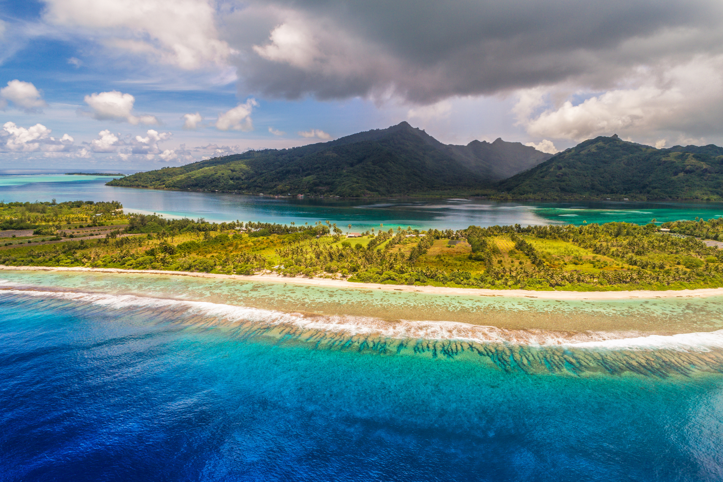motu ceran, society islands (2).webp
